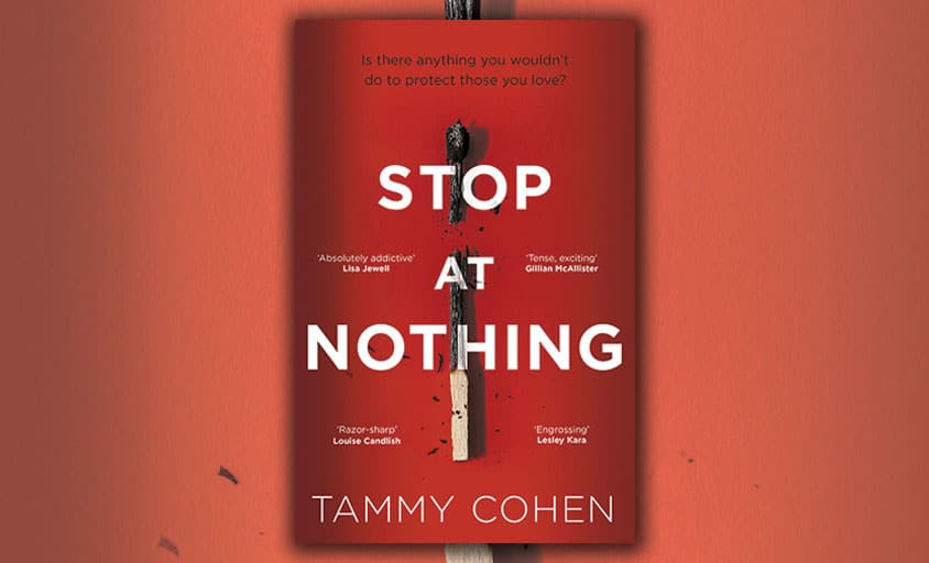 cover for stop at nothing by tammy cohen
