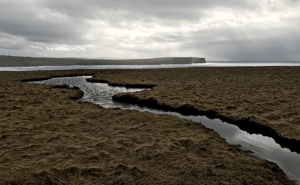 A photo of Marwick Head on Orkney, taken by Helen Callaghan, author of Night Falls, Still Missing