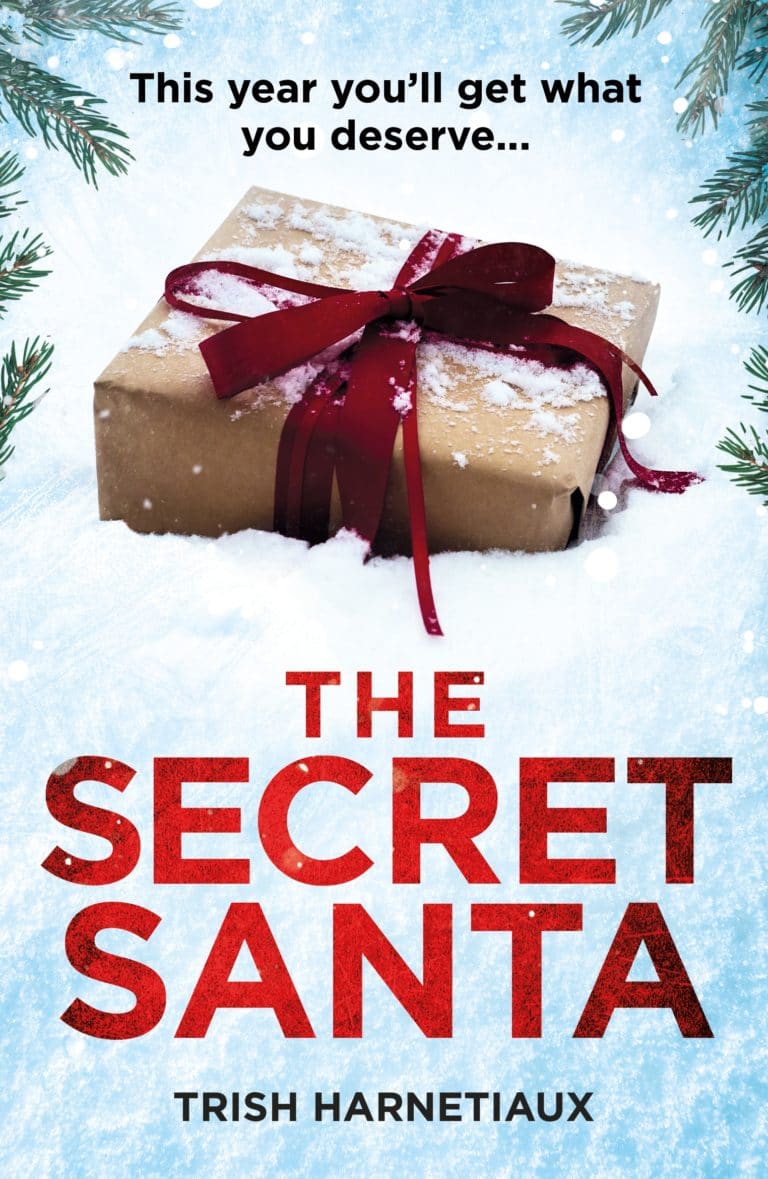 The Secret Santa cover