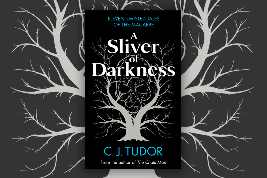Book cover of A Silver of Darkness by C J Tudor