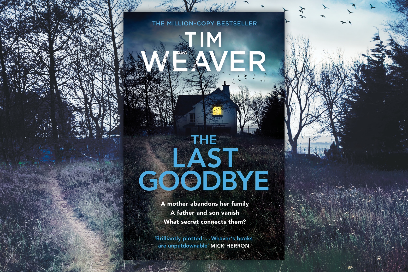 Extract: The Last Goodbye by Tim Weaver