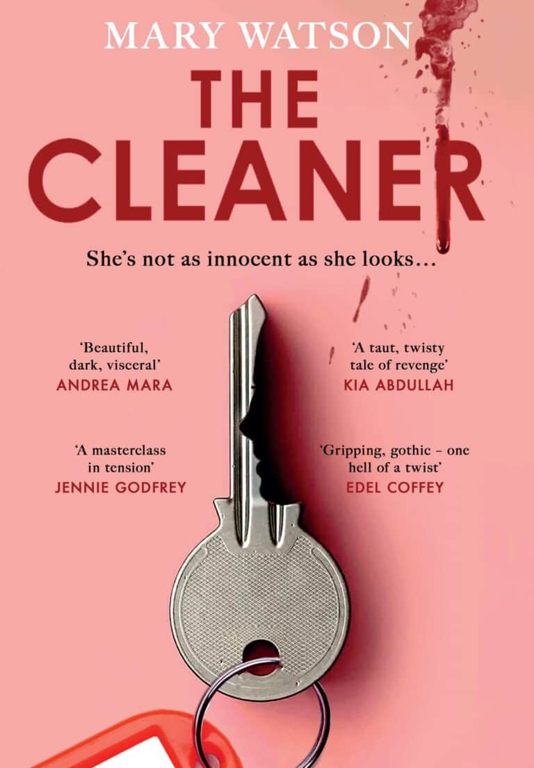 The Cleaner cover